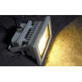 10W LED Flood Light avec projecteur de lumière (JP83710COB)